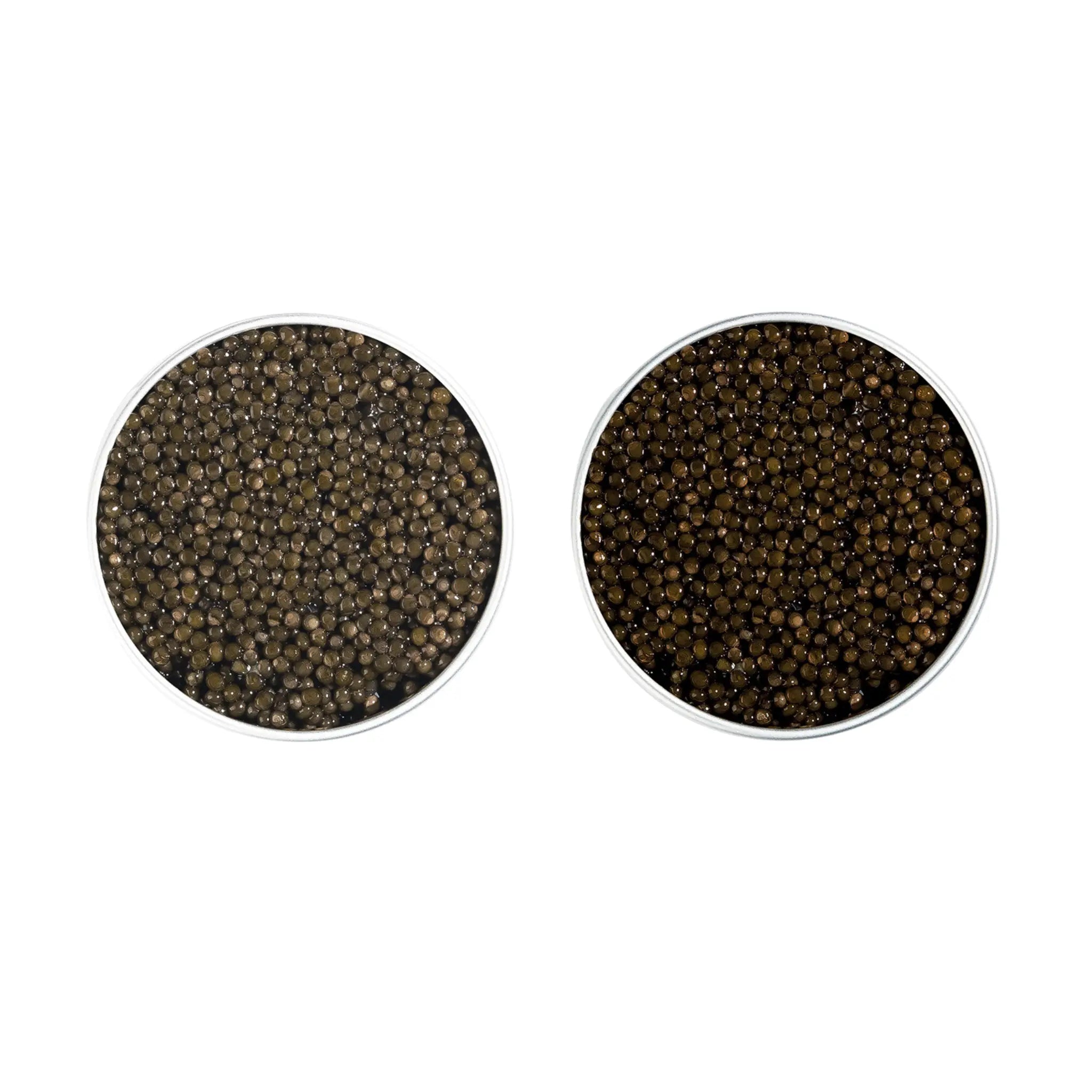 Coffret Découverte Caviar Osciètre et Baeri Maison Fayard collection signature