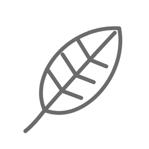 Icône feuille de basilic